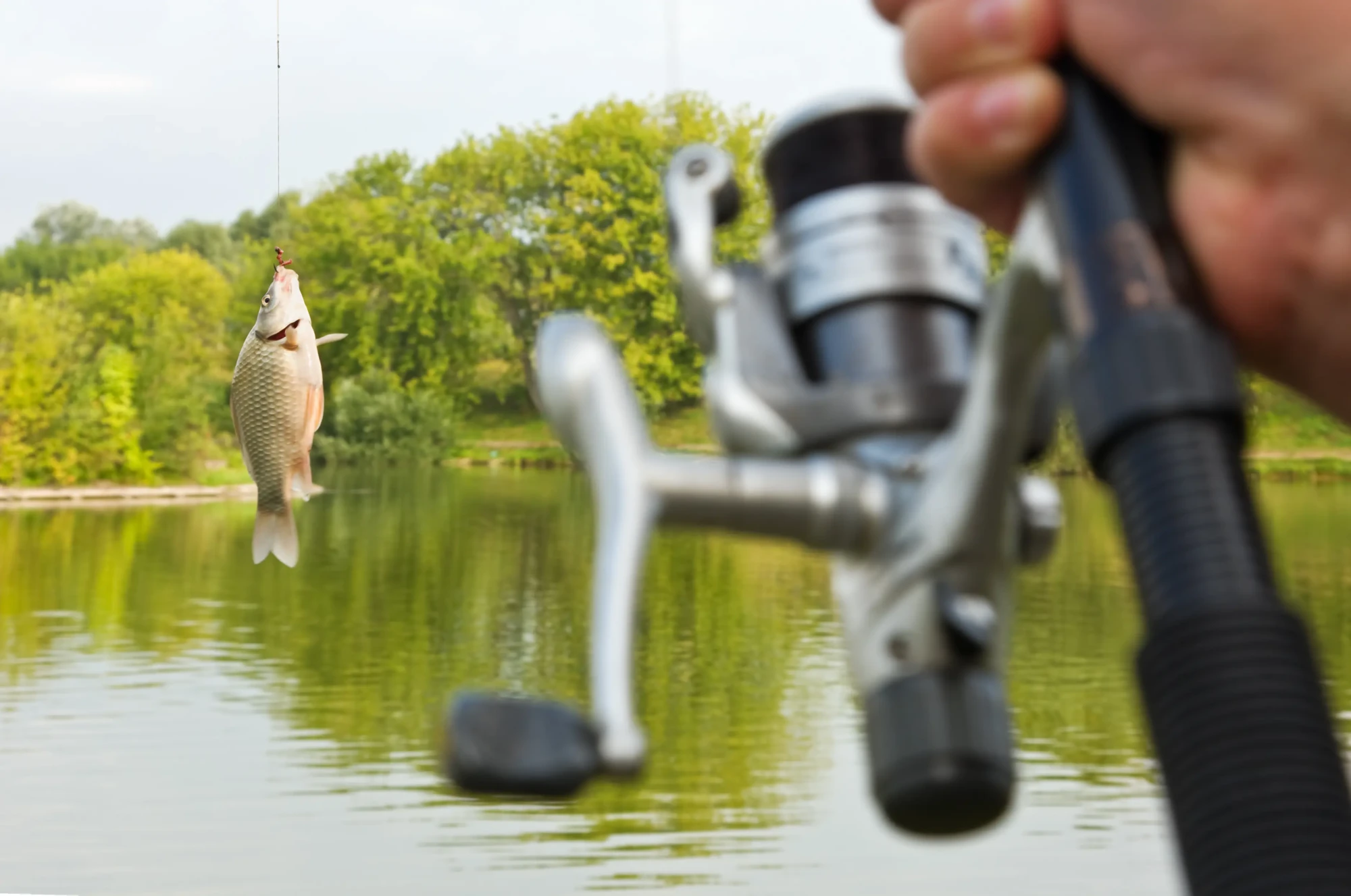 règlement peche